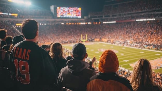 super bowl visitors guide - ilustra├º├úo 3