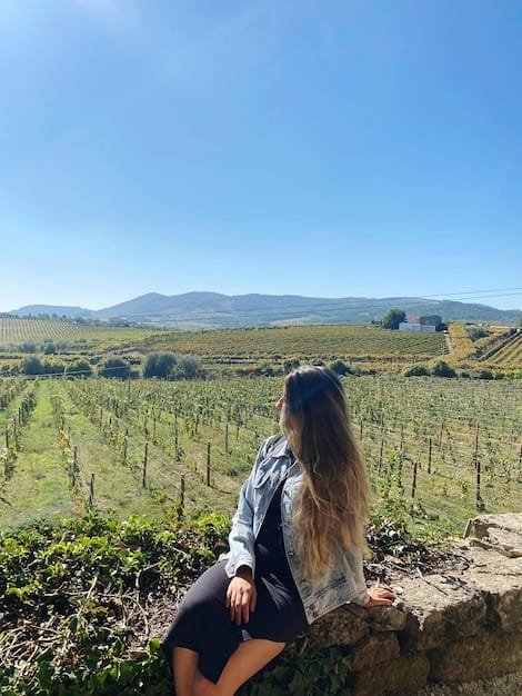 napa wine tour - ilustra├º├úo 3