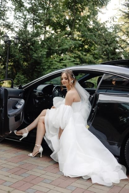 wedding limo - ilustra├º├úo 4