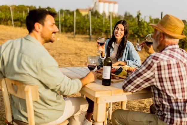 napa valley tours - ilustra├º├úo 2