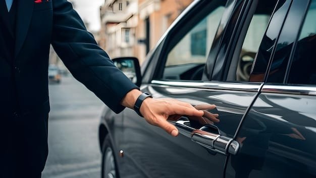 professional chauffeur - ilustra├º├úo 4