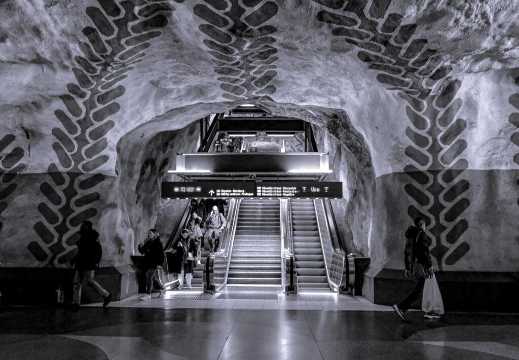 luxury transport for art exhibitions